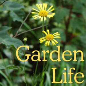 Garden Life